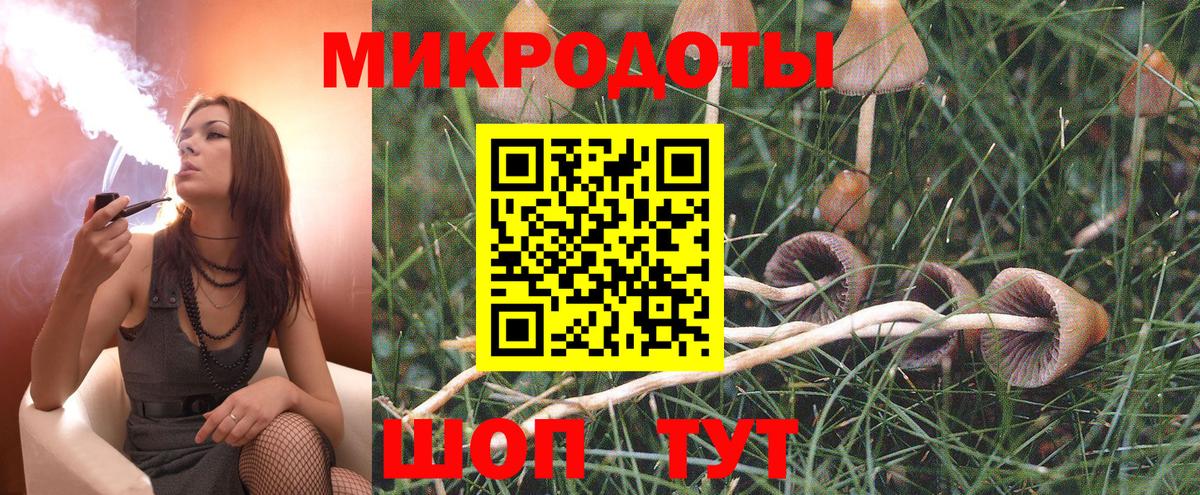 Псилоцибиновые грибы GOLDEN TEACHER Бор