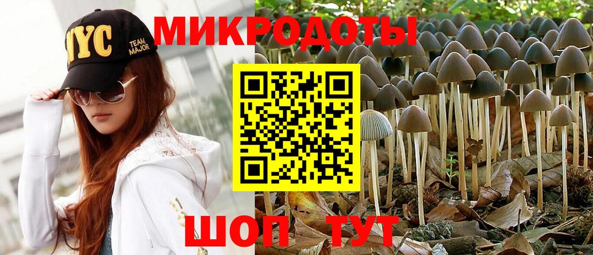 Псилоцибиновые грибы прущие грибы  Бор 