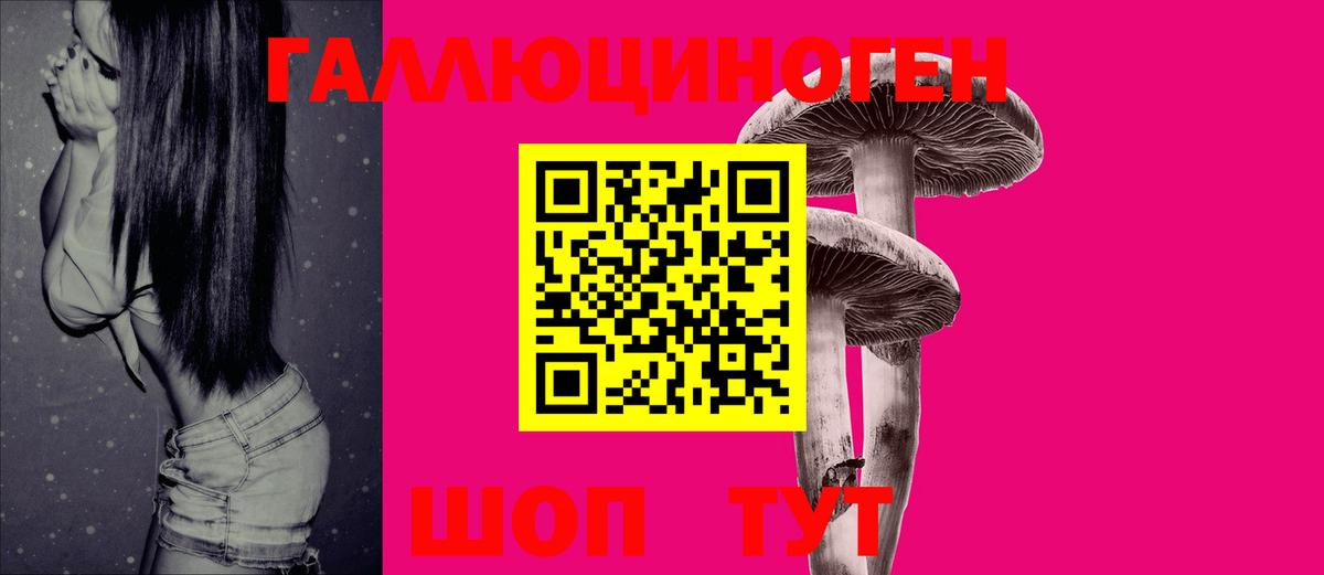 Бор  Галлюциногенные грибы прущие грибы  Вход с VPN 