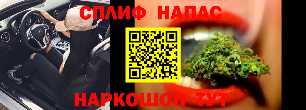 Каннабис планчик  Каннабис сатива  Бор  МАРИХУАНА SATIVA & INDICA  Марихуана ГИДРОПОН  Вход с VPN 